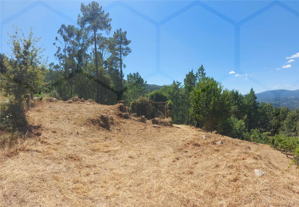 Terreno com plantação de vinha — Melgaço, Chaviães e Paços - foto 3
