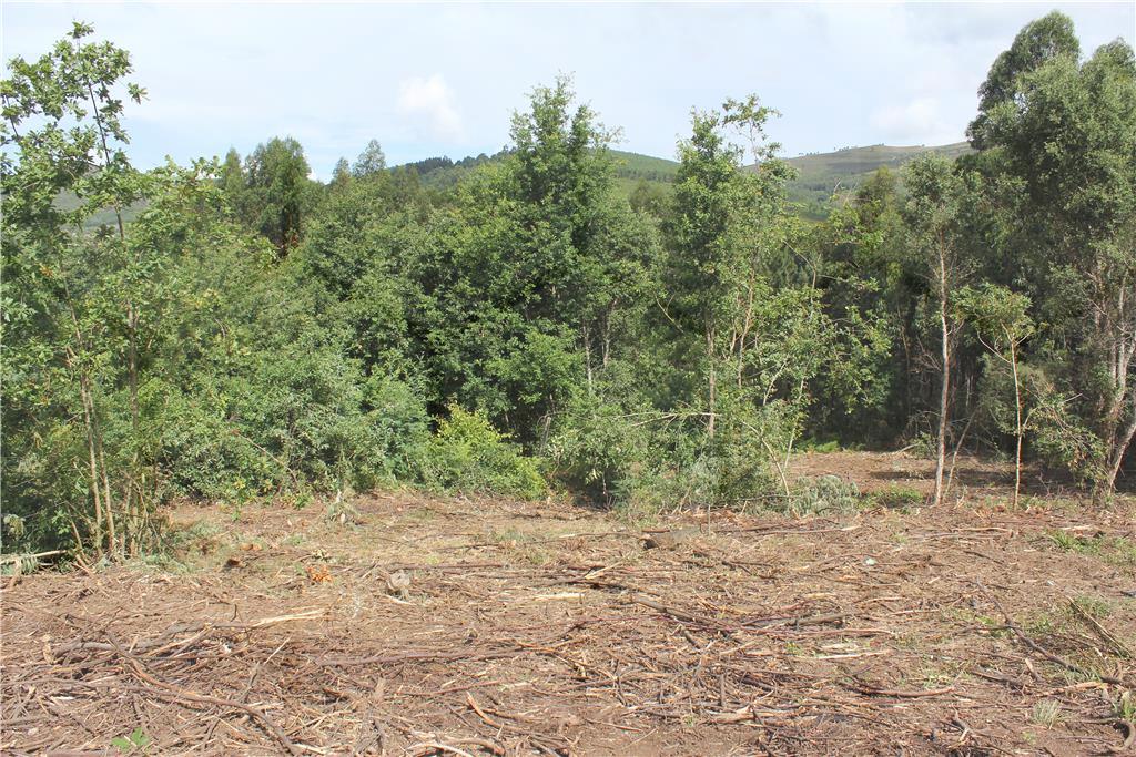 Terreno para construção