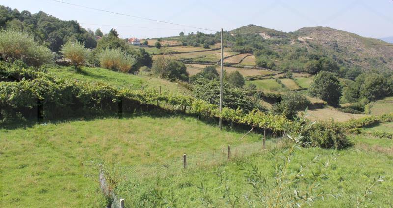 Moradia em pedra V2 com anexo e terreno, em zona tranquila — Melgaço, Parada do Monte e Cubalhão - foto 4