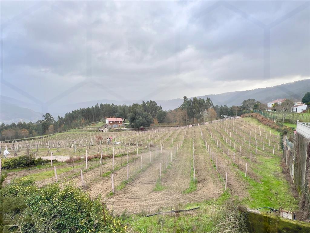 Propriedade agrícola com moradia e vinha de Alvarinho - 15.000 m² — Melgaço, Chaviães - foto 2