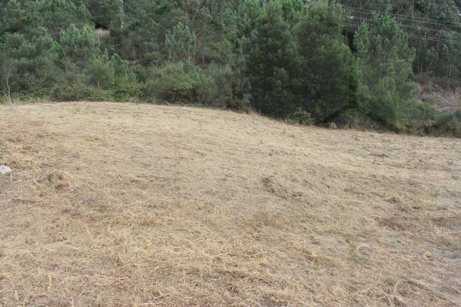 Terreno com aptidão construtiva — Melgaço, Vila e Roussas - foto 2