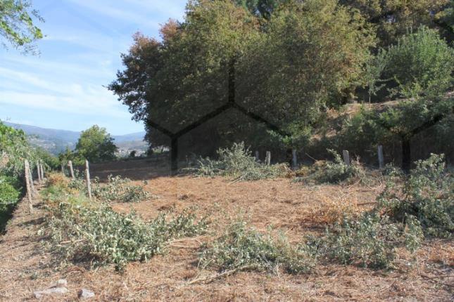 Terrenos — Melgaço, Paderne - foto 2