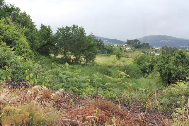Terreno urbanizável com 4.000 m² e possibilidade de 4 lotes – Melgaço — Melgaço, Vila e Roussas - foto 4