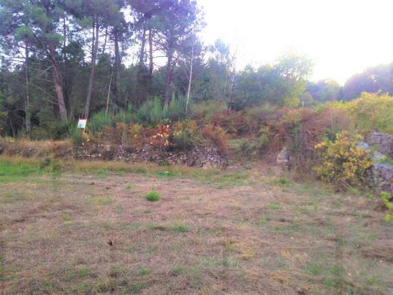 Terreno de cultivo — Melgaço, Paderne - foto 3