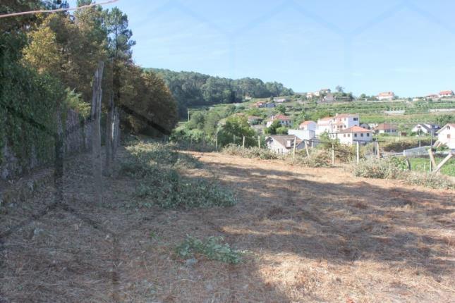 Terrenos