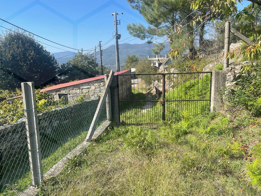 Terreno com vinha de Alvarinho — Melgaço, Penso - foto 2