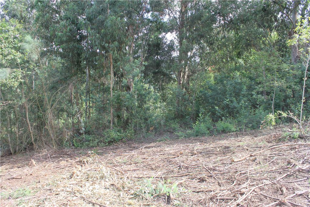 Terreno para construção — Monção, Riba de Mouro - foto 3