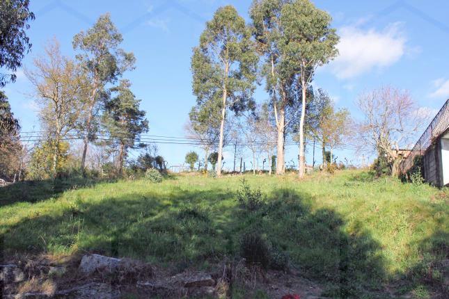 Terreno com aptidão construtiva de 1.064 m² junto à estrada