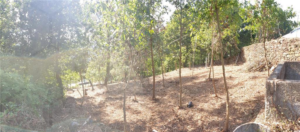 Terreno com aptidão construtiva — Melgaço, Cristóval - foto 3