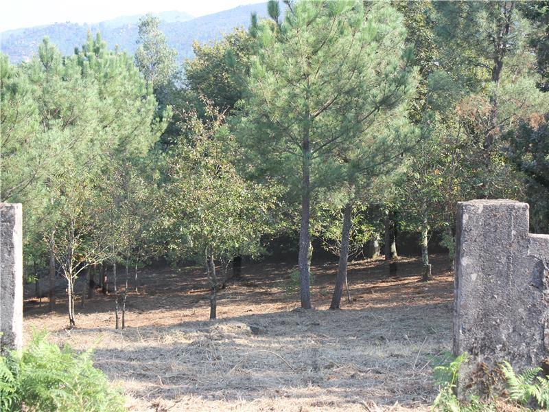 Moradia com dois pisos Mobilado e Terrenos — Melgaço, Cristóval - foto 8