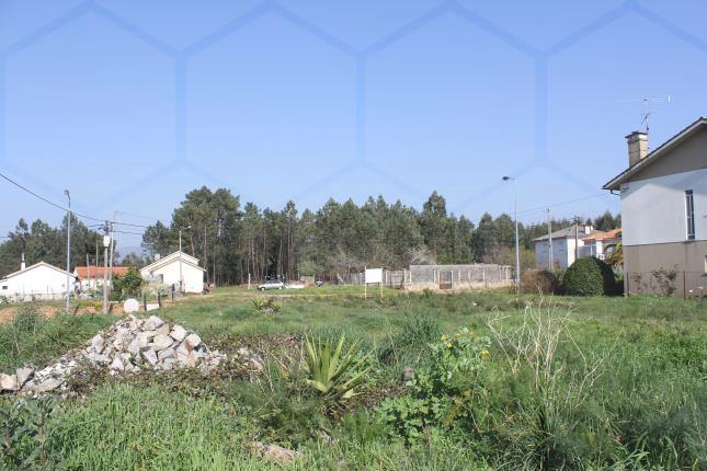 Lote para construção com 480 m² em São Pedro da Torre, Valença — Valença, São Pedro da Torre - foto 2