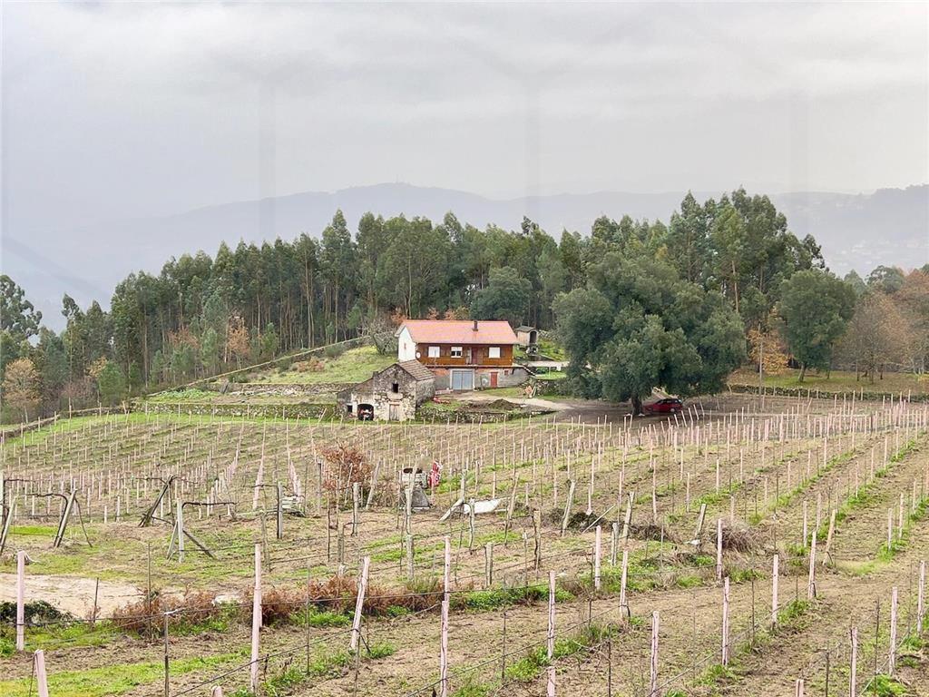 Propriedade agrícola com moradia e vinha de Alvarinho - 15.000 m²