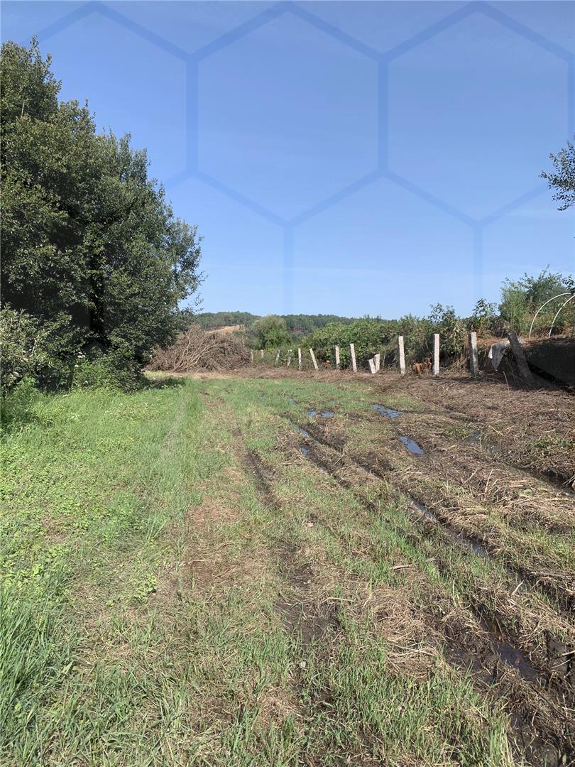 Terreno agrícola em Pinheiros