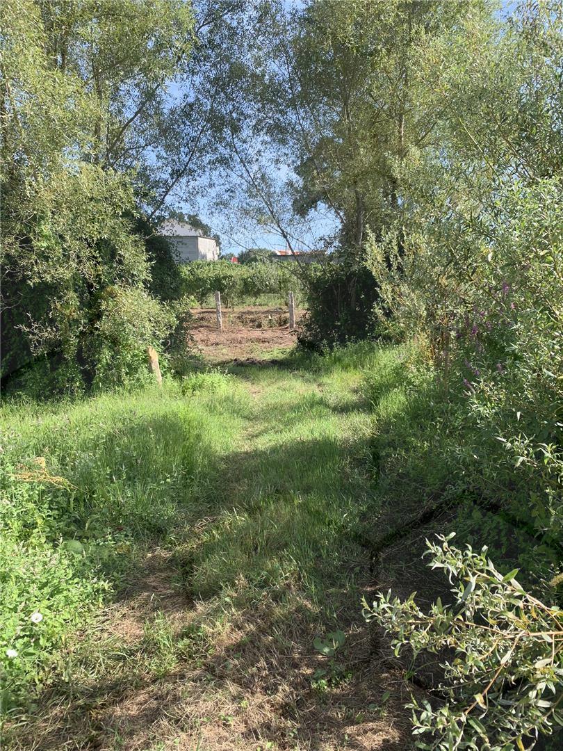 Terreno agrícola em Pinheiros — Monção, Pinheiros - foto 4