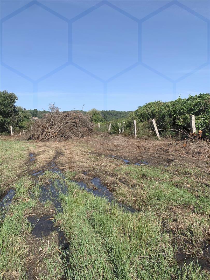 Terreno agrícola em Pinheiros — Monção, Pinheiros - foto 3