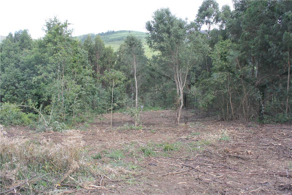 Terreno para construção — Monção, Riba de Mouro - foto 5