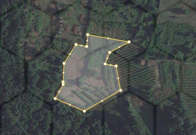Terrenos de cultivo