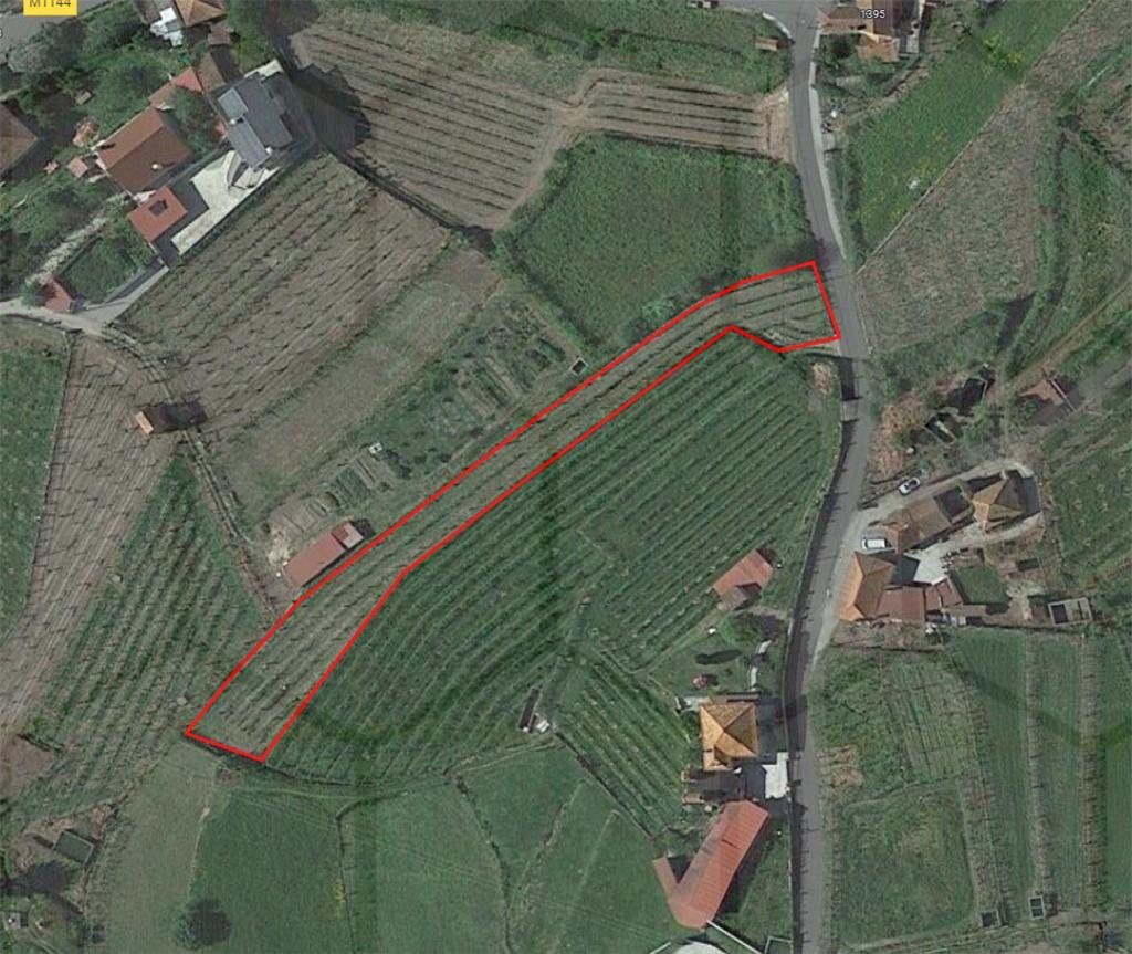 Terreno com plantação de Alvarinho e Vinhão