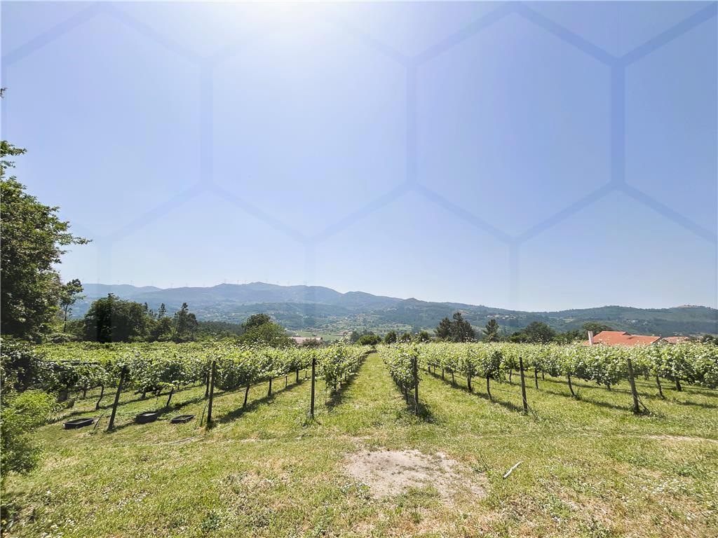 Quinta com moradia T5 e vinha de Alvarinho em produção – Monção — Monção, Podame - foto 2