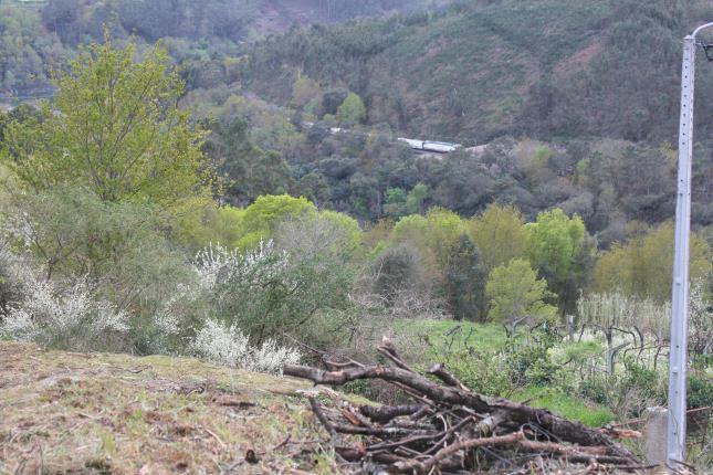 Terreno para construção com 1.140 m² a 5 minutos de Melgaço — Melgaço, Chaviães e Paços - foto 4