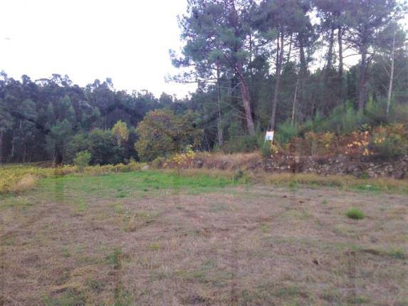 Terreno de cultivo