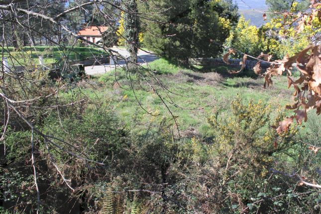 Terreno para construção com 800 m² a 5 minutos do centro de Melgaço