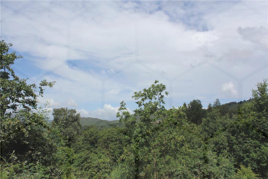Terreno para construção — Monção, Riba de Mouro - foto 2