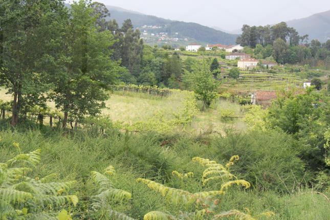 Terreno urbanizável com 4.000 m² e possibilidade de 4 lotes – Melgaço