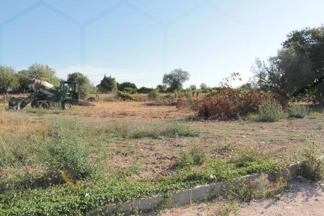 Lotes de terreno para construção — Valença, Friestas - foto 3